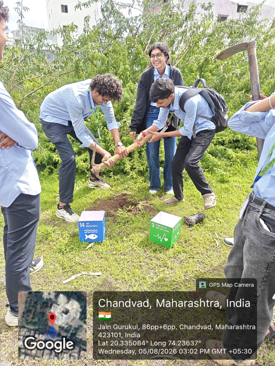 Tree Plantation photo 3