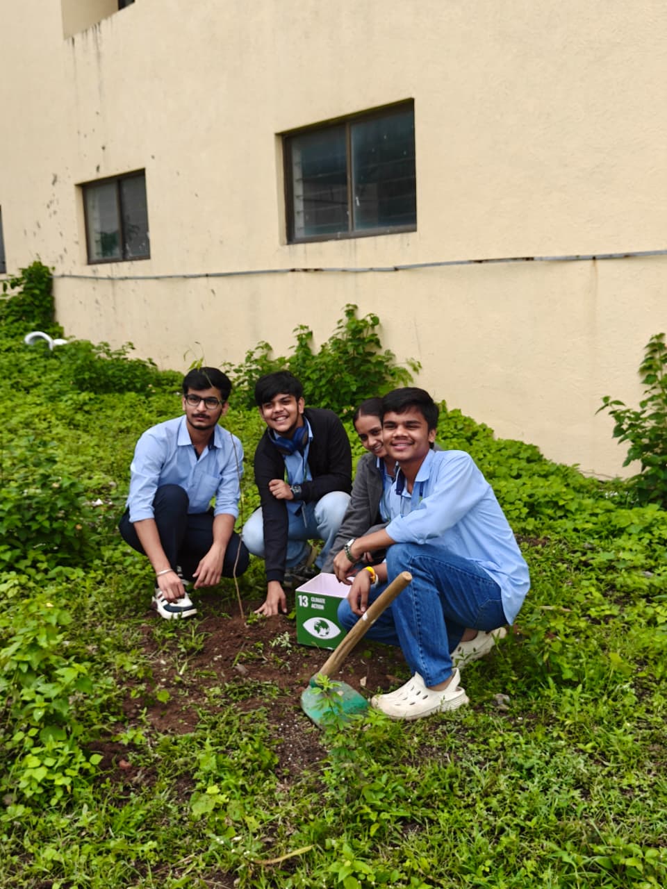 Tree Plantation main photo