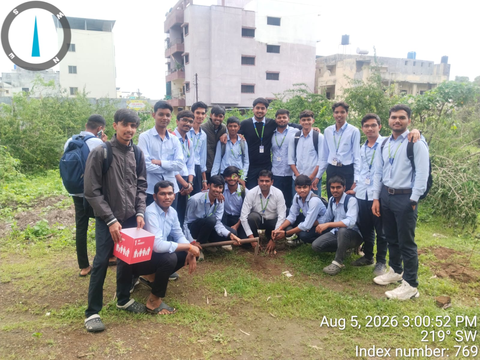 Tree Plantation photo 2